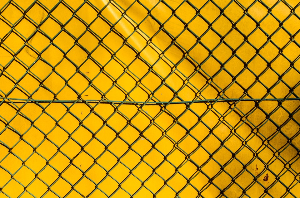 Bird Netting: A purchasing guide for protecting harvests against birds or different creatures